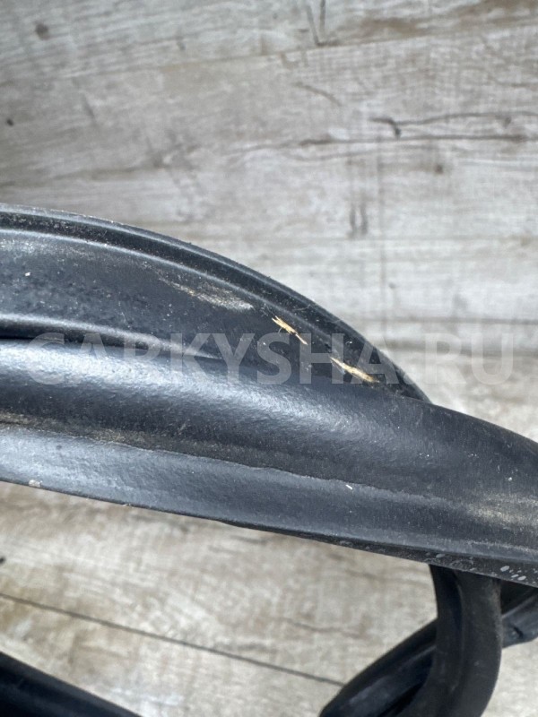 Уплотнитель двери Nissan Qashqai I (2006—2010) Nissan Qashqai оригинальный номер 15883