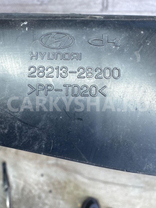 Воздухозаборник Hyundai Santa Fe cm левый Hyundai Santa Fe оригинальный номер 282132b200