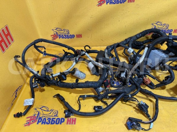 Проводка двигателя Chevrolet Captiva I рестайлинг (2011—2013) Chevrolet Captiva оригинальный номер 95489695
