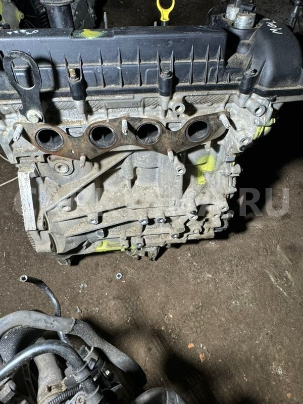 Двигатель Ford Focus III (2011—2015) Ford Focus 