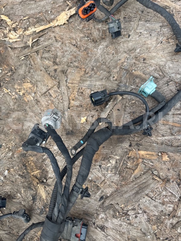 Проводка двигателя Ssangyong New Actyon 2012 dtf Ssang Yong Actyon оригинальный номер A6711504133